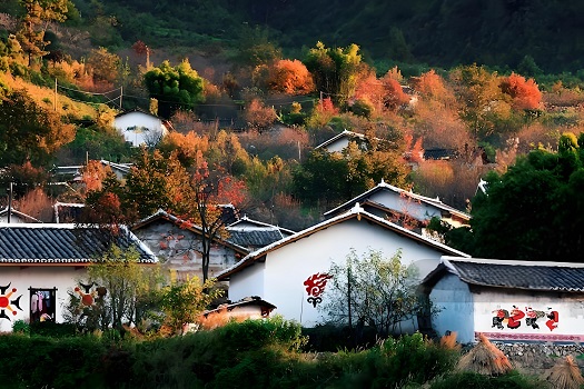 西昌市川興新農(nóng)村城鄉(xiāng)融合及配套基礎(chǔ)設(shè)施建設(shè)項(xiàng)目.jpg